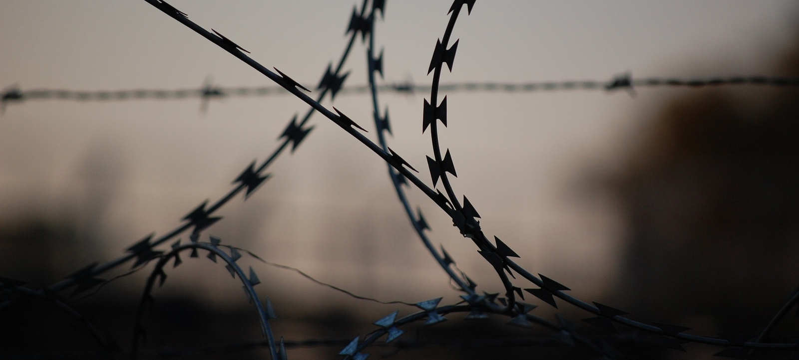 barbedwire barbedwire